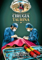 Ronda, Laboratorio de la Cirugía Taurina